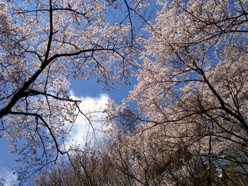 b0057140_17261588.jpg