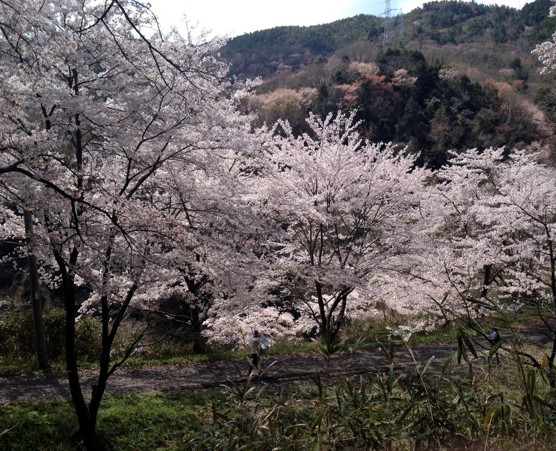 b0057140_18281091.jpg