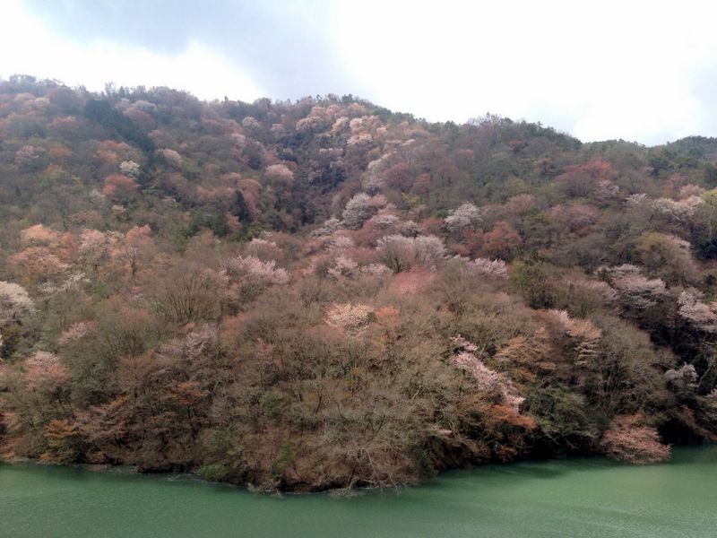 b0057140_18343354.jpg