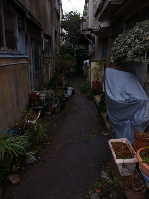 a0087341_16283585.jpg