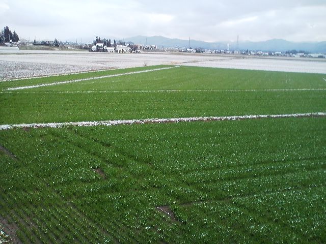 a0272241_20405959.jpg