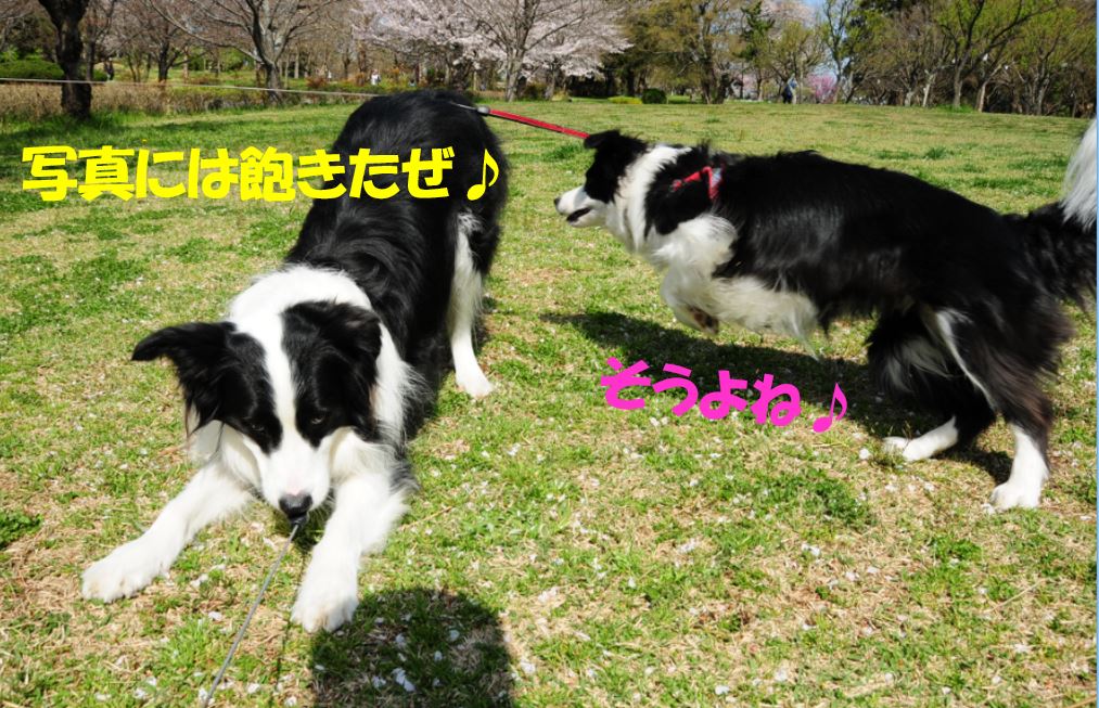 c0147241_20492826.jpg