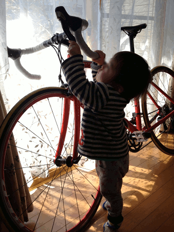 a0026445_22395820.gif