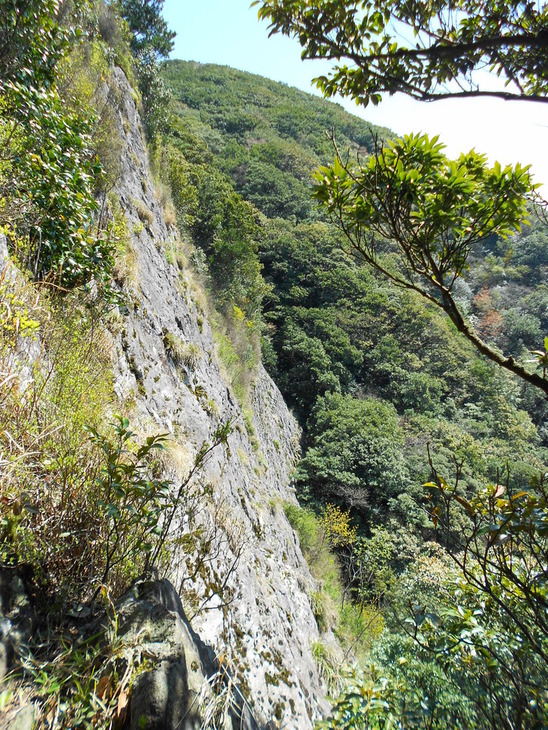 a0206345_19334145.jpg