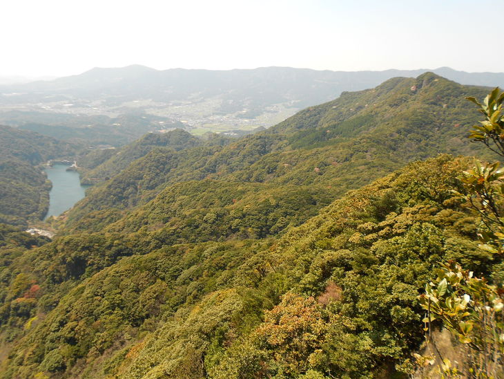a0206345_19343342.jpg