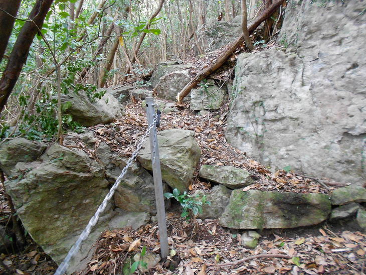 a0206345_1974391.jpg