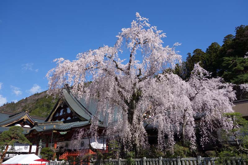 b0325549_11112660.jpg