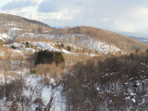 c0037553_10561099.jpg
