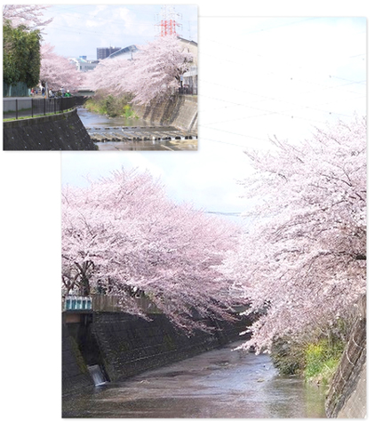 c0097558_1494860.jpg