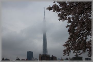 e0232963_2062342.jpg