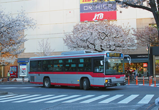 c0130964_533158.jpg
