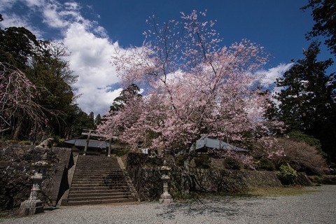 c0260264_6535987.jpg