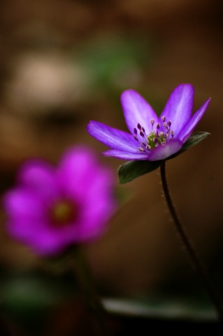 e0045768_20273549.jpg