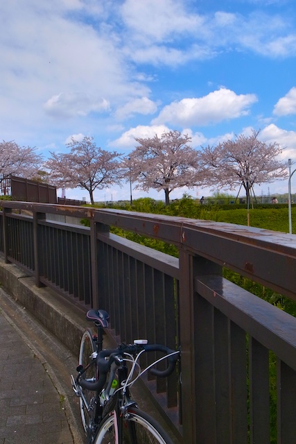 b0247073_2233897.jpg