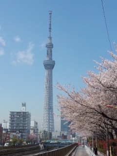 f0112873_2255621.jpg