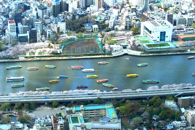 d0126577_20274361.jpg