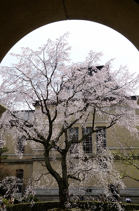 f0108478_20523133.jpg