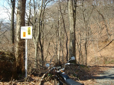 b0080681_19511753.jpg