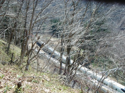 b0080681_20105545.jpg