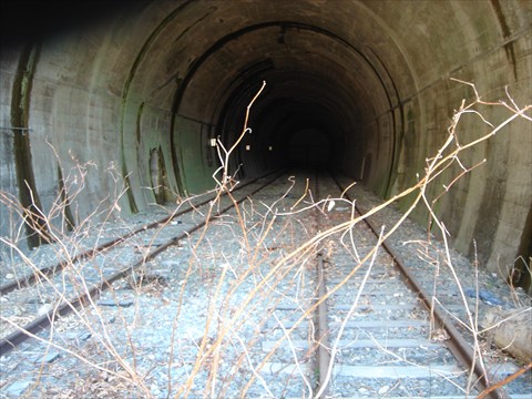 b0080681_205951.jpg