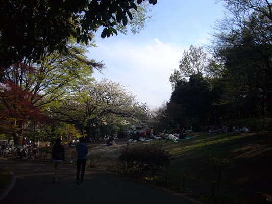 a0141884_1821598.jpg