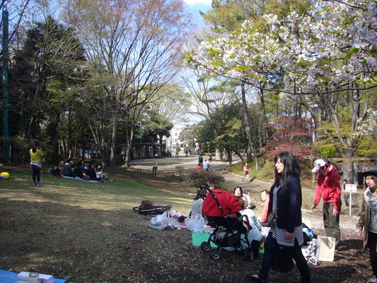 a0141884_1826885.jpg