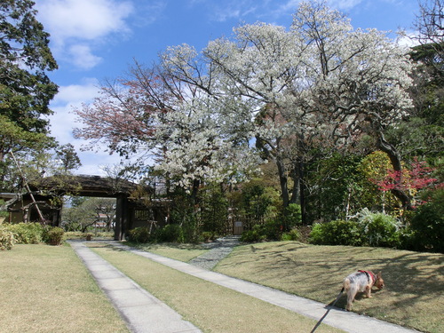 e0123587_2011330.jpg