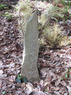 e0123587_20114433.jpg