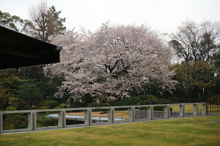e0194987_122207.jpg