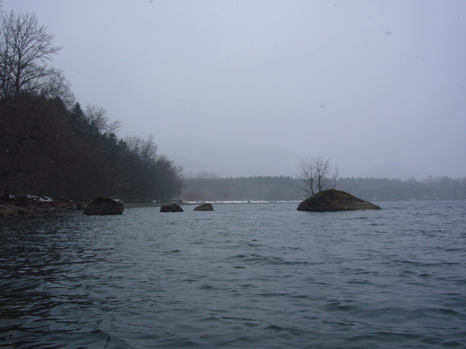 a0118989_23344340.jpg