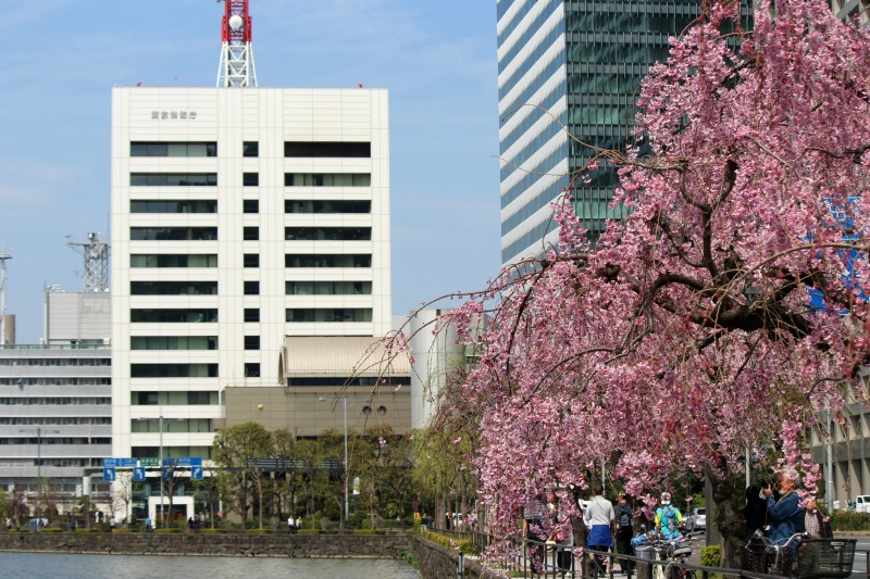 a0127090_22482520.jpg