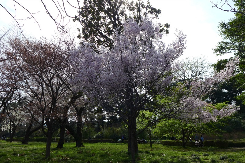 a0127090_22504068.jpg