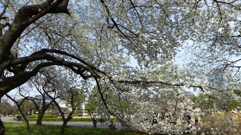 a0127090_22513918.jpg