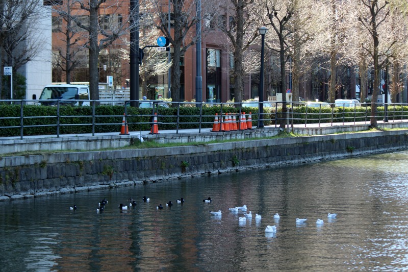 a0127090_22592423.jpg
