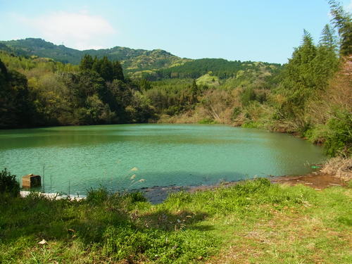 a0214490_1642167.jpg
