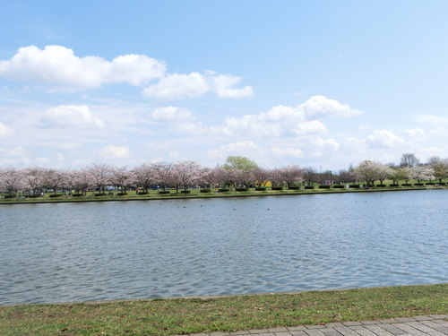 a0319693_1819828.jpg