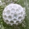 b0194593_20172481.jpg