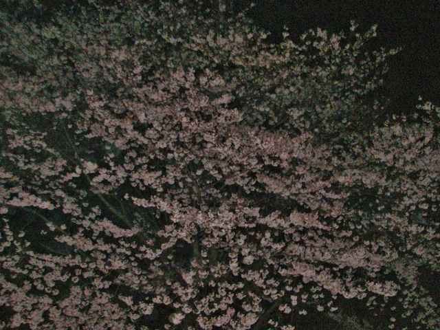 d0046294_1191163.jpg