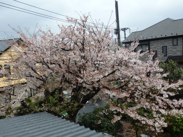 f0130894_20405321.jpg