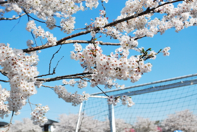 a0285596_7162544.jpg