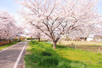 a0285596_7221278.jpg