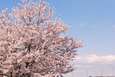 a0285596_735160.jpg