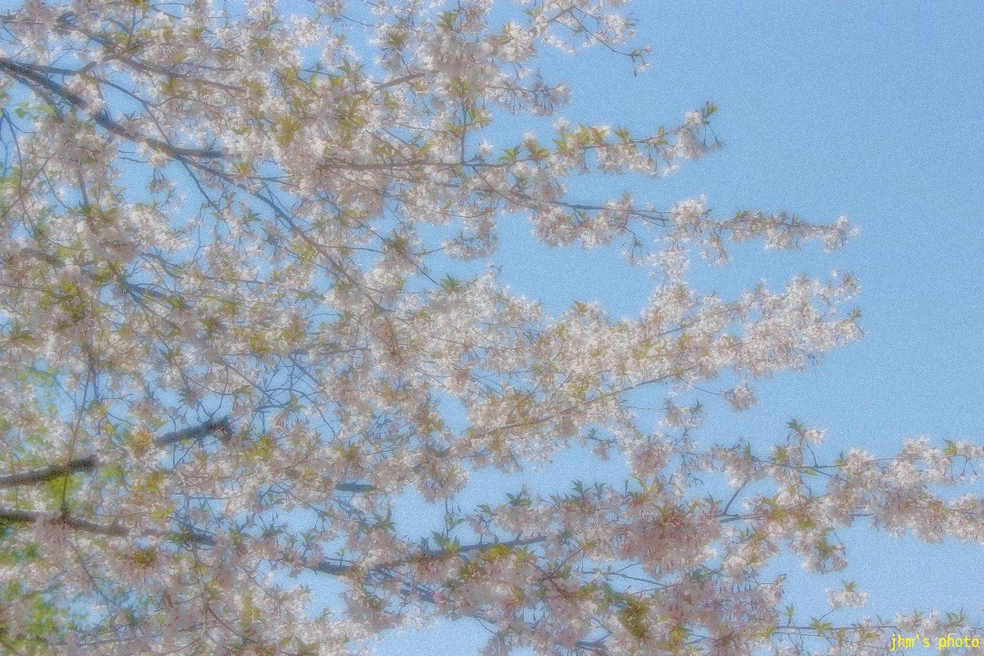 a0158797_23195234.jpg