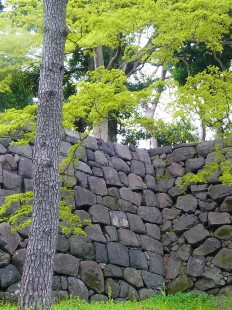 c0172698_22252463.jpg