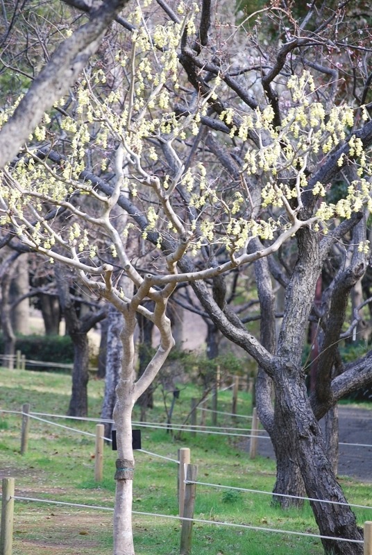 e0025300_237371.jpg