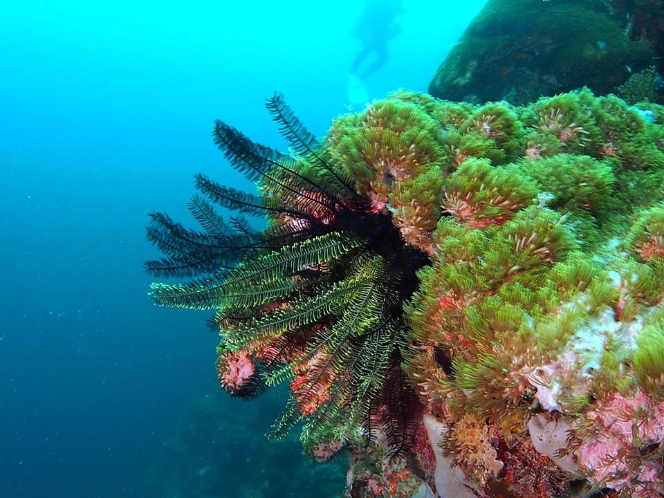 a0201201_1338615.jpg