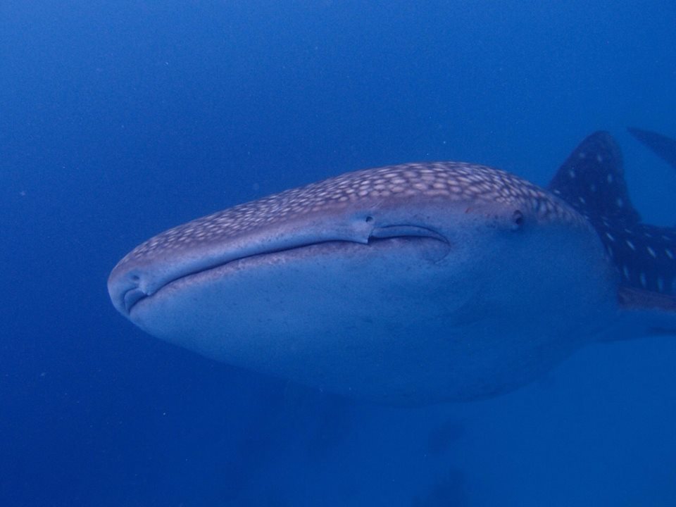a0201201_13433481.jpg