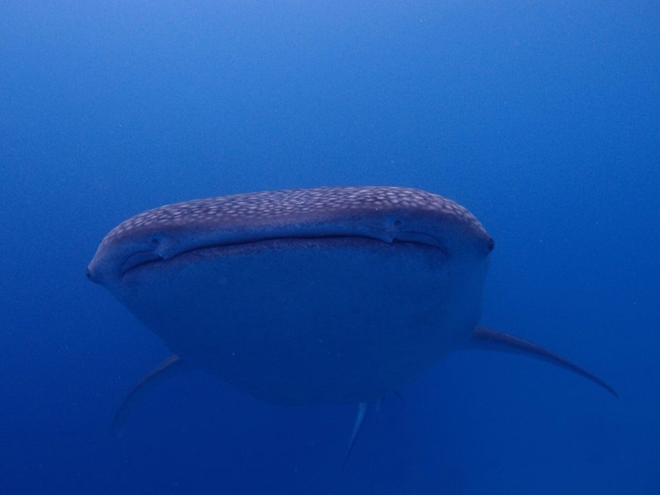 a0201201_13434576.jpg