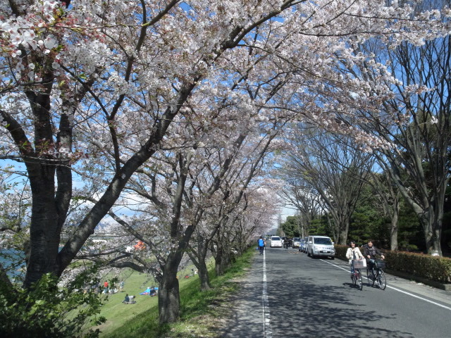 f0197703_1352436.jpg