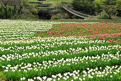 b0014607_20125185.jpg